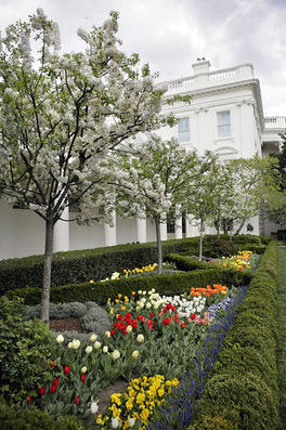 White House Rose Garden_Credit Wikimedia Commons