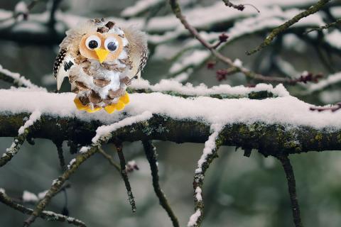 MPL Snowy Owl Craft on Winter Tree Branch
