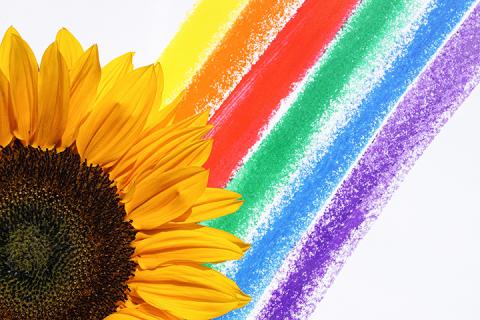 Rainbow image_Web_credit pexels-susanne-jutzeler-sujufoto