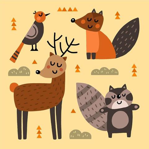 animal grouping illustration