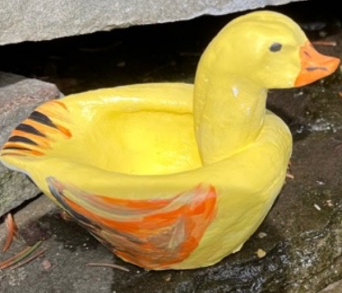 duck