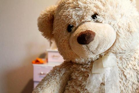 cute teddy bear