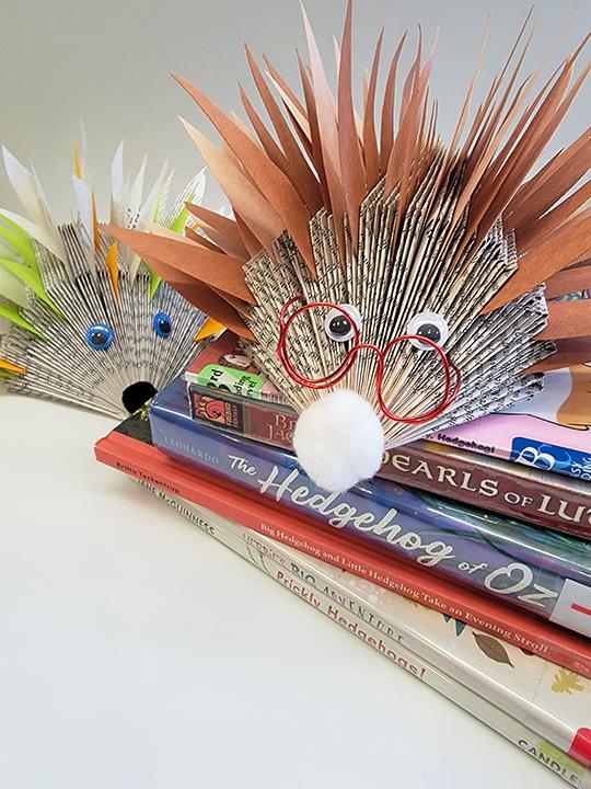 Mahwah Library Hedgehog Book Art