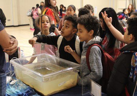 Center for Aquatic Science image